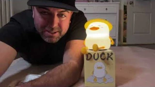 Toddler Duck Night Light Review