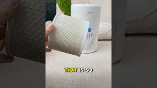 I Tried The VIRAL Air Purifier...