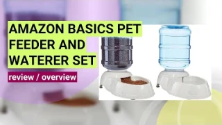 Review: Amazon Basics Automatic Pet Feeder & Water Dispenser Set