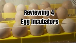 Reviewing 4 egg incubators the good the bad and the what the were they thinking