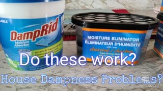 Moisture Eliminator & Damp Rid, Do they work to eliminate Dampness from your house?