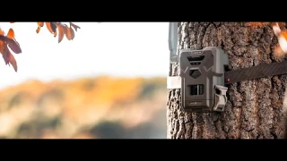 SPYPOINT Flex-M Twin Pack Cellular Trail Cameras