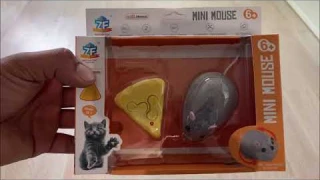 CAT TOY 2021 remote control mouse ZF best fun toys REVIEW