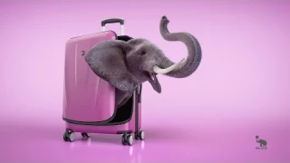 OIWAS : Pack Your World！！！