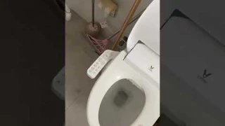 toilet sensor flusher  #shorts