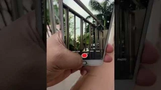 iPhone 6s Plus camera testing #iphone #shorts #shortsfeed #apple #tending #shortvideo #ytshorts