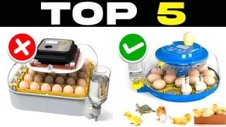 TOP 5 BEST EGG INCUBATORS 2025 | Affordable CHICKEN INCUBATORS on AMAZON