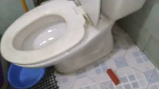 #66: (Vietnam toilet 🇻🇳) Photography studio restroom