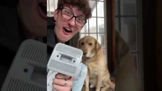 The Best Pet Grooming Vacuum - Oneisall