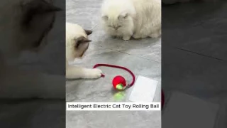 Bored Cat? This Automatic Rolling Ball is the Perfect Playtime Solution! 🐾🎾