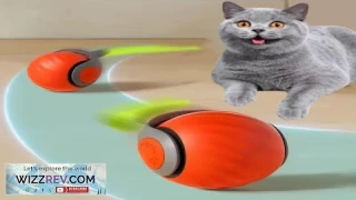 Cat Interactive Ball Toys Automatic Rolling Ball Faux Tail Rechargeable Smart Pet