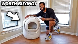 BCHARYA Self Cleaning Cat Litter Box Review | Best Self Cleaning Litter Boxes