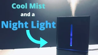 Everlasting Comfort Ultrasonic Cool Mist Humidifier - REVIEW