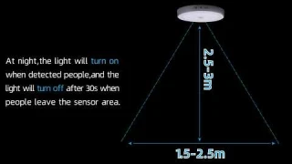 LED Motion Sensor Ceiling Light