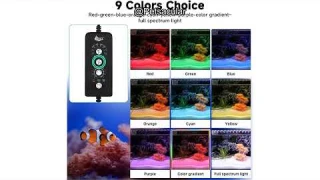 AQQA LED Aquarium Light Review: Is It Worth the Investment for Your Fish Tank?