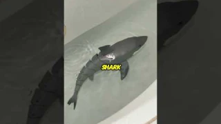 🏊♂️🌊 Swim Away from Boring Toys! Meet the Robo Alive Shark! 🦈✨ #RoboAlive #ZURU