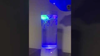 Soothing Jellyfish Lamp Under $0 with Code! #fok #temucode