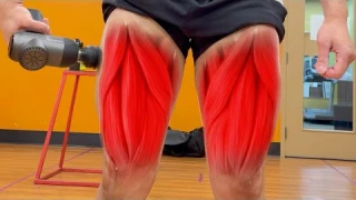 Do Massage Guns ACTUALLY Work?!