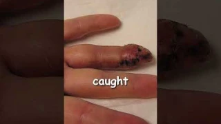 Do not buy these toys for your kids