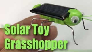 Solar Powered Grasshopper Learning Toy Review