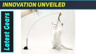 Best Cat Toy Ever? Leo's Paw Interactive Bird Toy