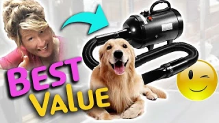 New PET DRYER with INCREDIBLE PRICE and PERFORMANCE