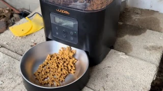 review AUTOMATIC “cat feeder” (wapet) cube lite 11 ￼ food dispenser