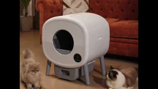 Cumrige Smart Litter Box | Auto-Cleaning, Odor-Free & Ultra Quiet