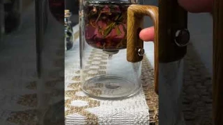 Enchanti Tea Pot - Magic Witchcraft Enchanted Glass Teapot with Strainer #shorts #amazon #tea