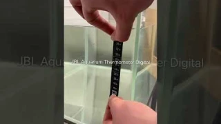 🌡️🐠 JBL Aquarium Thermometer Digital - Digital aquarium thermometer #shorts #meinjbl