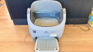 Automatic Litter Box for Multiple Cats | HALKYDY 2025 Full Review