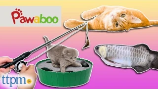 Kitties Review the Pawaboo Interactive & Feather Wand Cat Teaser Toys and Electric Fish Cat Toy!
