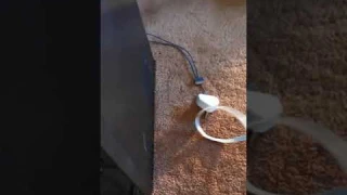 Yeelight strip not working