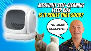 Meowant Review - Self Cleaning Litter Box || Is It Worth It?