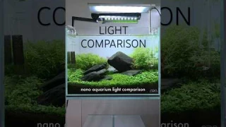 Visual Comparison of Two High-End Nano Aquarium Lights