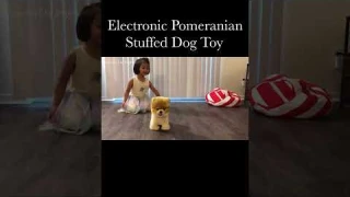 Electronic Walking Pomeranian Stuffed Dog Toy