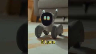 TOP 5 AI Personal Robots for Your Home in 2023 - Which One Will You Buy?