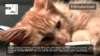 Best PETKIT Automatic Cat Feeder Review