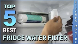 Best Fridge Water Filter | Top 5 Review 2025