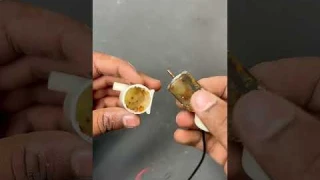 Mini Water Pump Repair | The Hidden Secrets Inside #waterpump #shorts