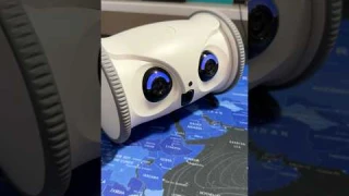 SKYMEE Owl Robot #shorts