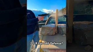 22LR For Self Defense? Part1 #shorts