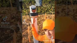 Solar-Powered Motion Detecting Flood Lights Review in 2023