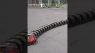 Giant Robotic Snake #shorts