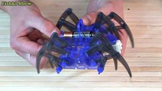 How to Make a Spider Robot. DIY Electric Toy