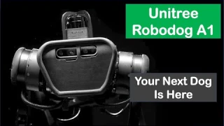 Unitree A1 - Your Next Dog Is Here