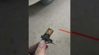 Crankshaft Position Sensor