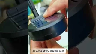 Solar Bee  Light: Outdoor Garden Decor Lighting for Waterproof Courtyard #decoration #solarlight