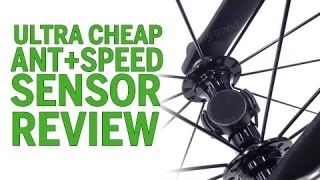 ULTRA CHEAP Ant+ Speed Sensor Review
