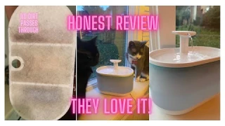 Petlibro Cat Water Fountain Review. The perfect automatic water purifier for your cat!